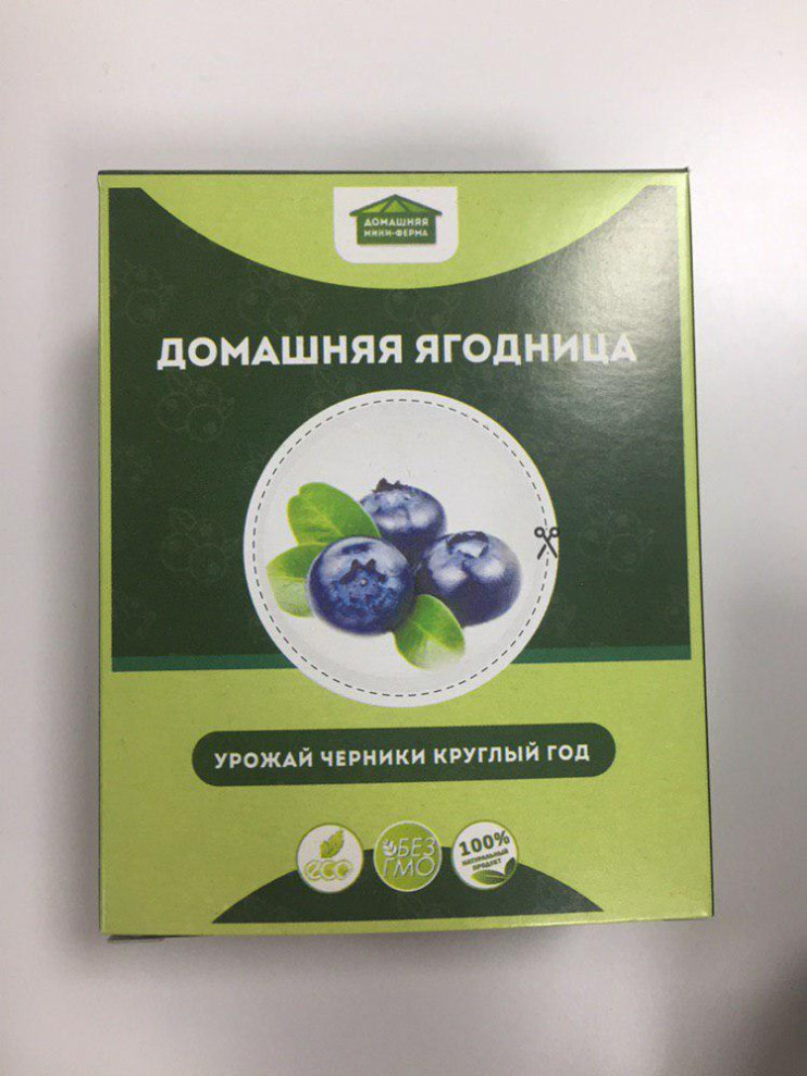 Домашняя ягодница в Санкт-Петербурге