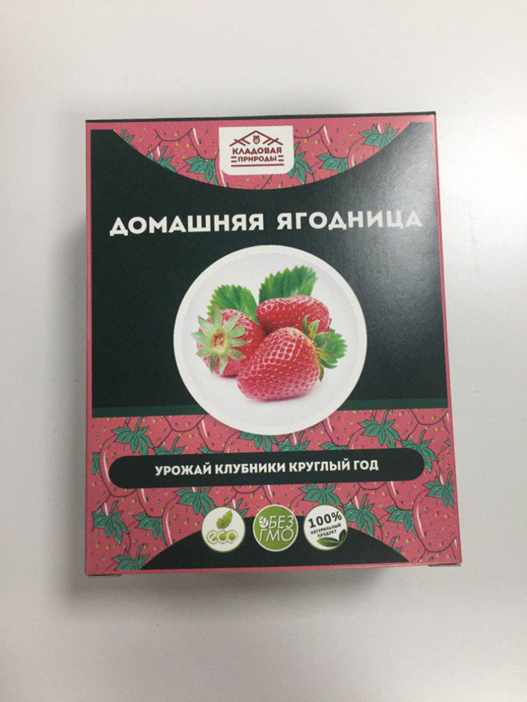 Домашняя ягодница в Санкт-Петербурге