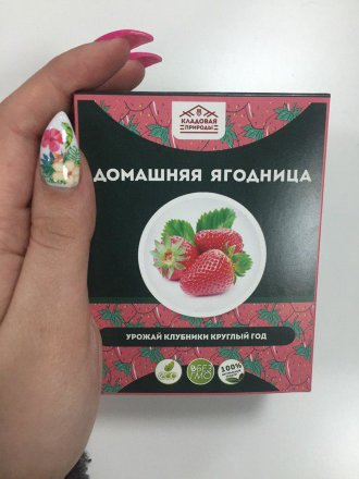 Домашняя ягодница в Новосибирске