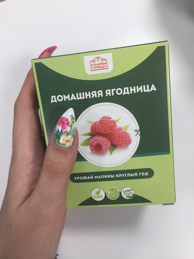 Домашняя ягодница в Санкт-Петербурге