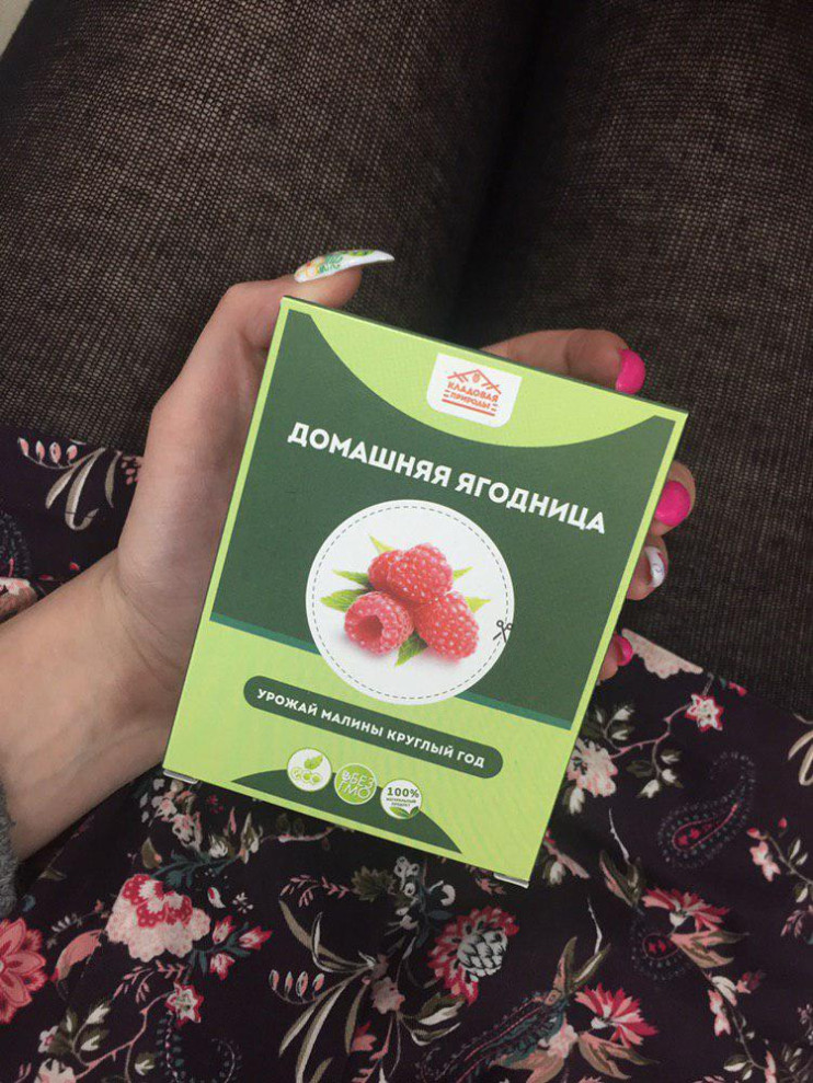 Домашняя ягодница в Санкт-Петербурге