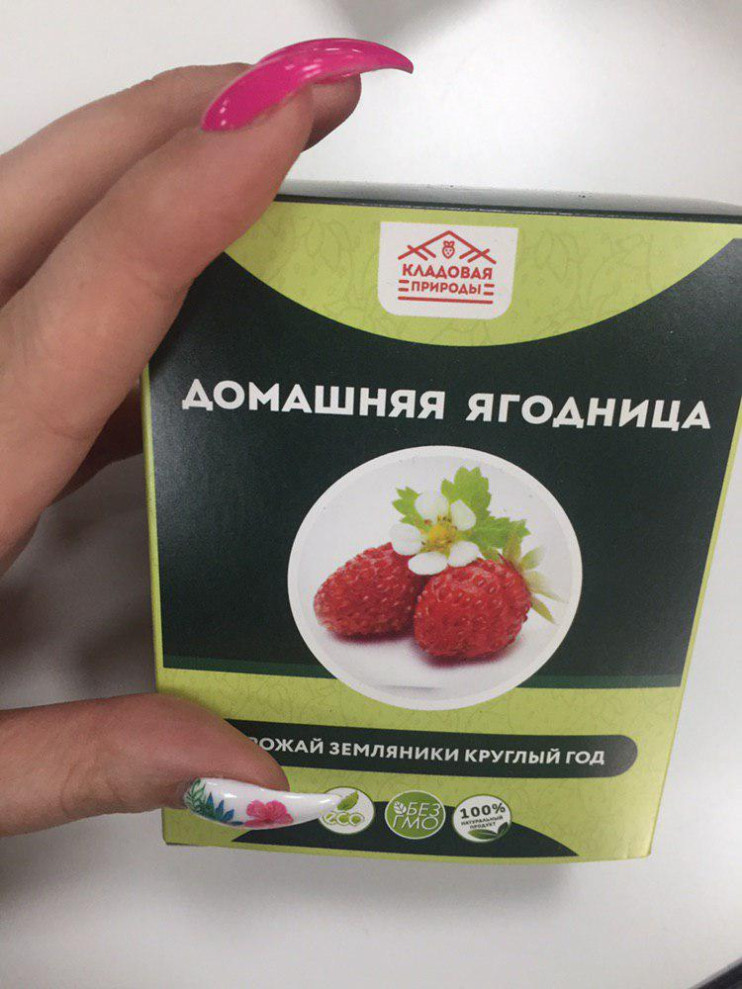 Домашняя ягодница в Санкт-Петербурге
