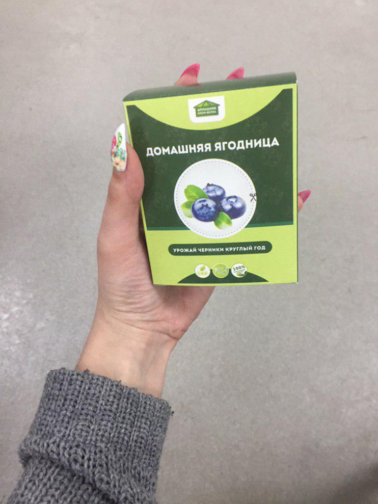 Домашняя ягодница в Санкт-Петербурге