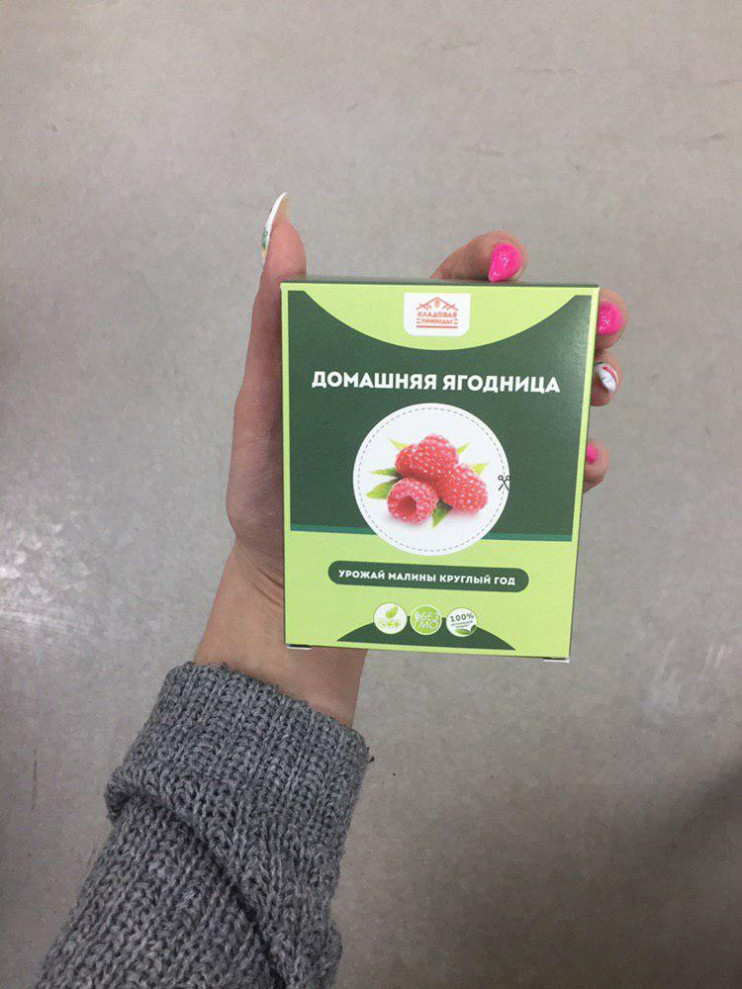 Домашняя ягодница в Санкт-Петербурге
