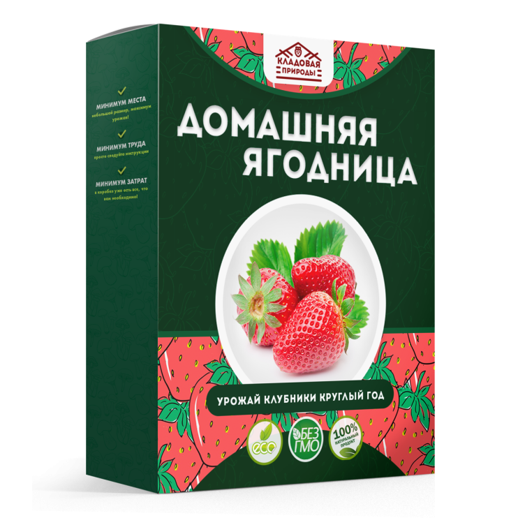 Домашняя ягодница в Санкт-Петербурге