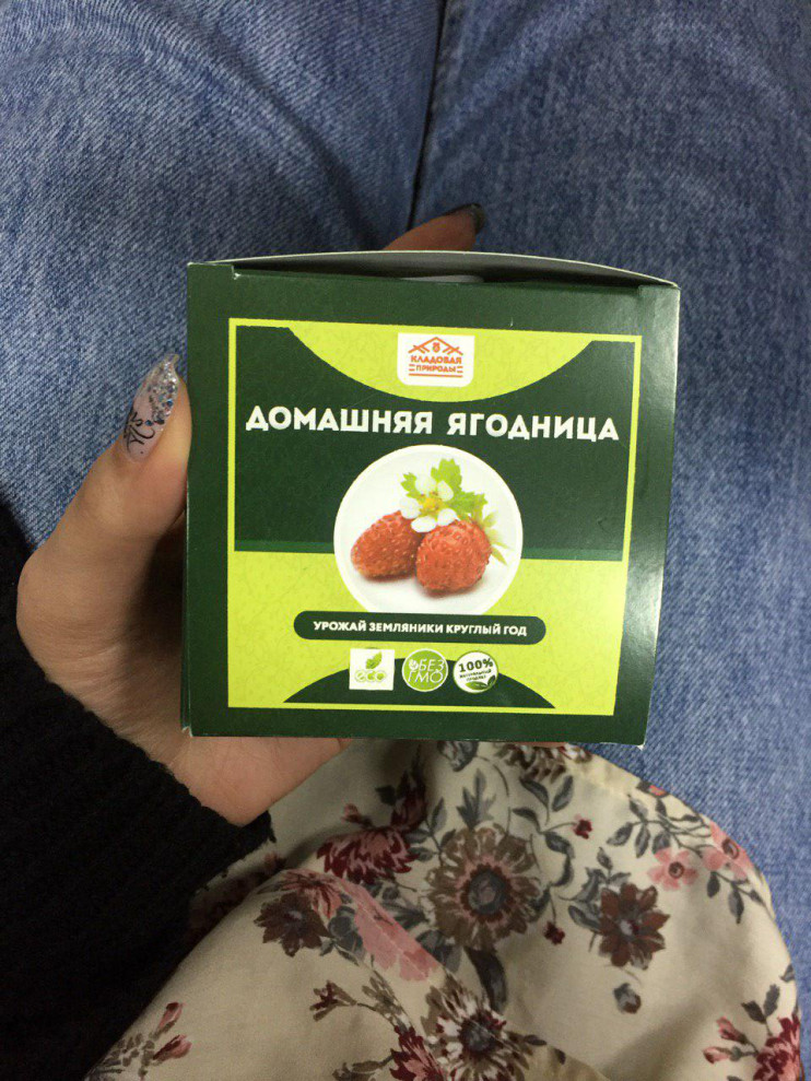 Домашняя ягодница в Санкт-Петербурге