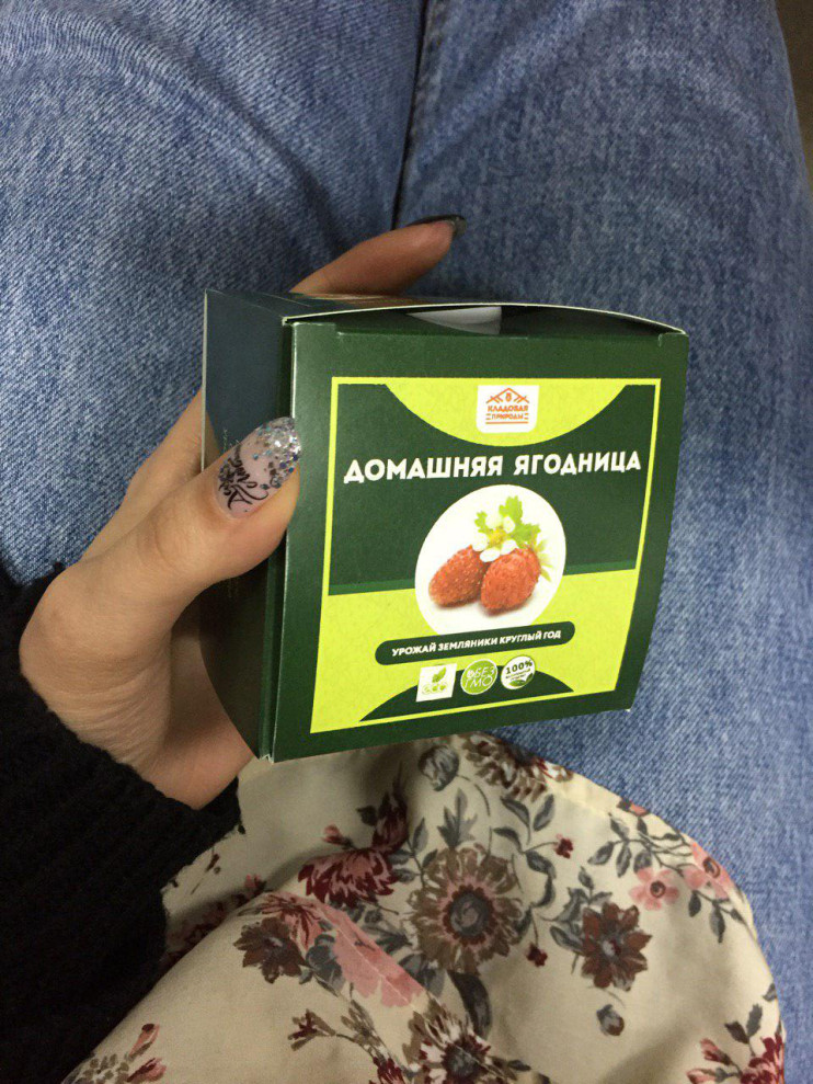 Домашняя ягодница в Санкт-Петербурге