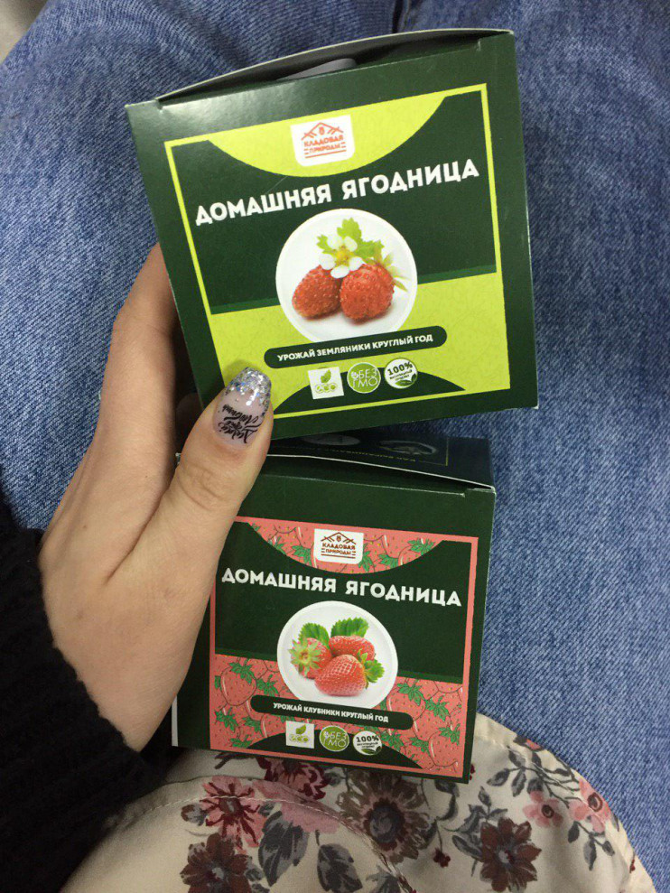 Домашняя ягодница в Санкт-Петербурге