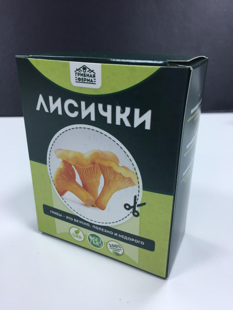 Грибная ферма в Москве