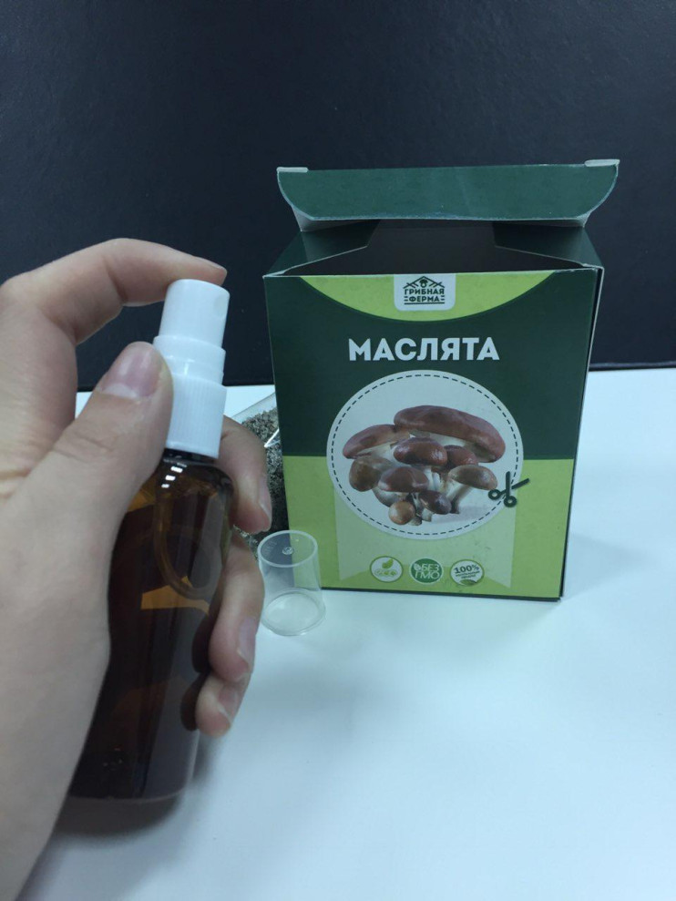Грибная ферма в Москве