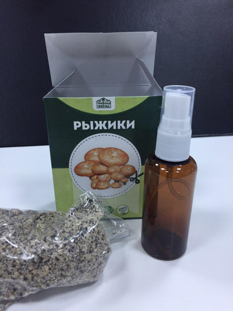 Грибная ферма в Москве