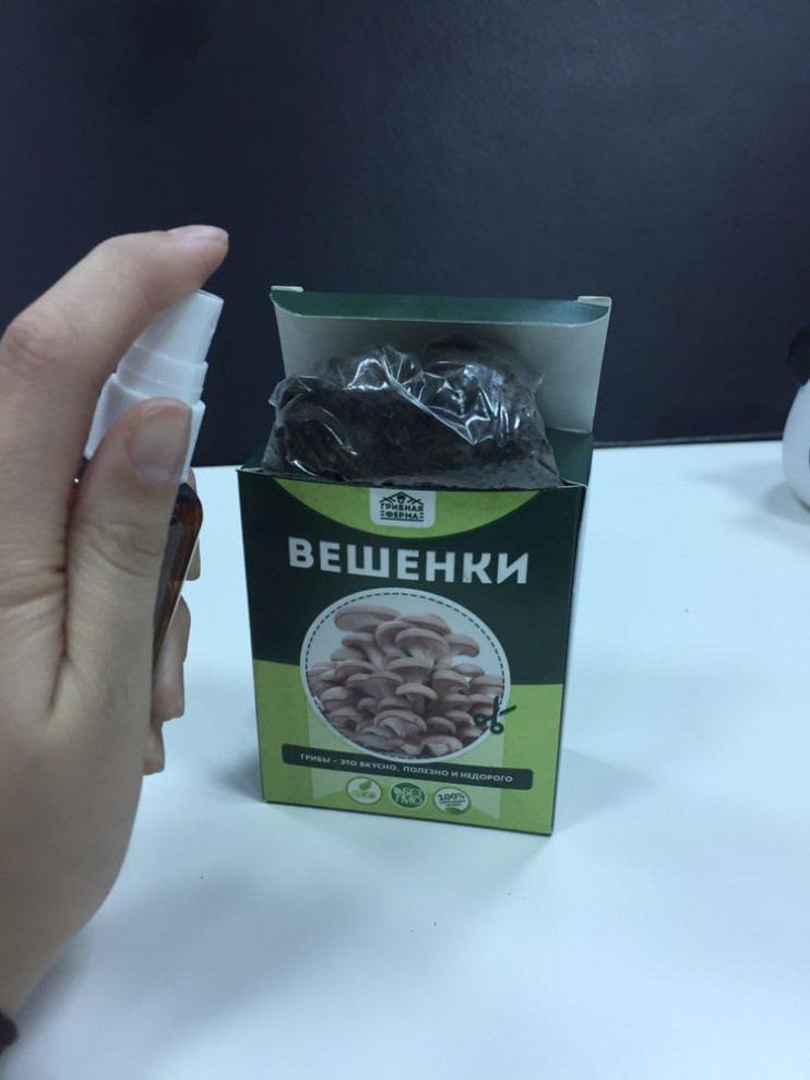 Грибная ферма в Москве