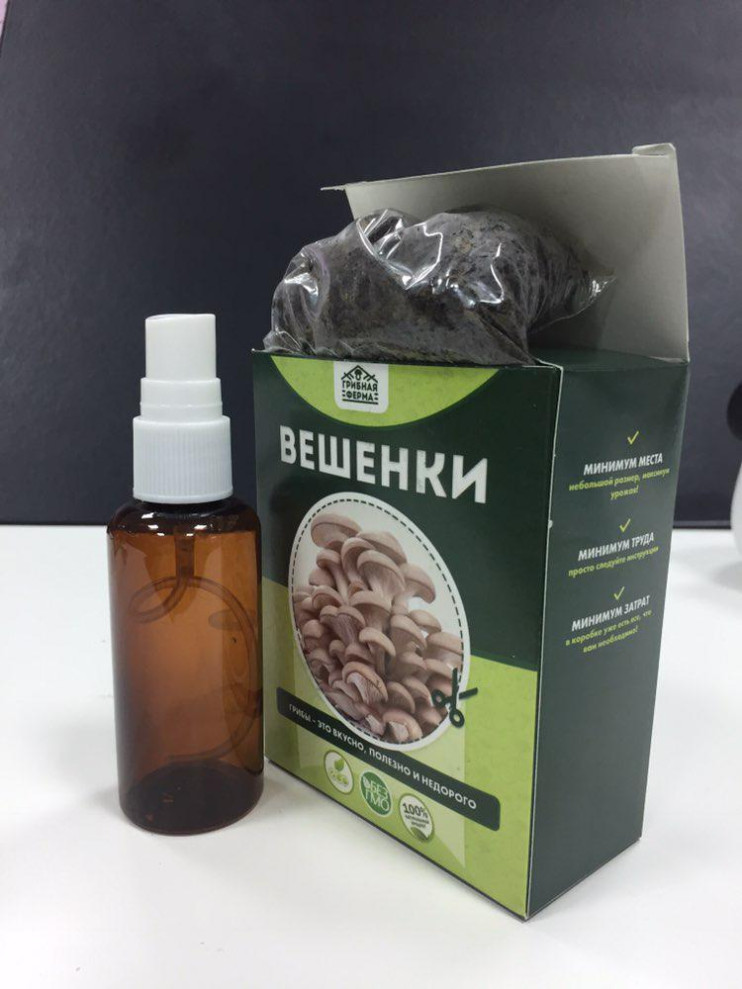 Грибная ферма в Москве