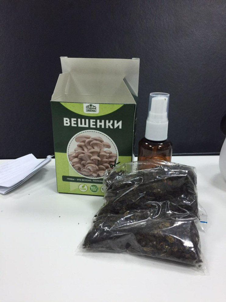Грибная ферма в Москве