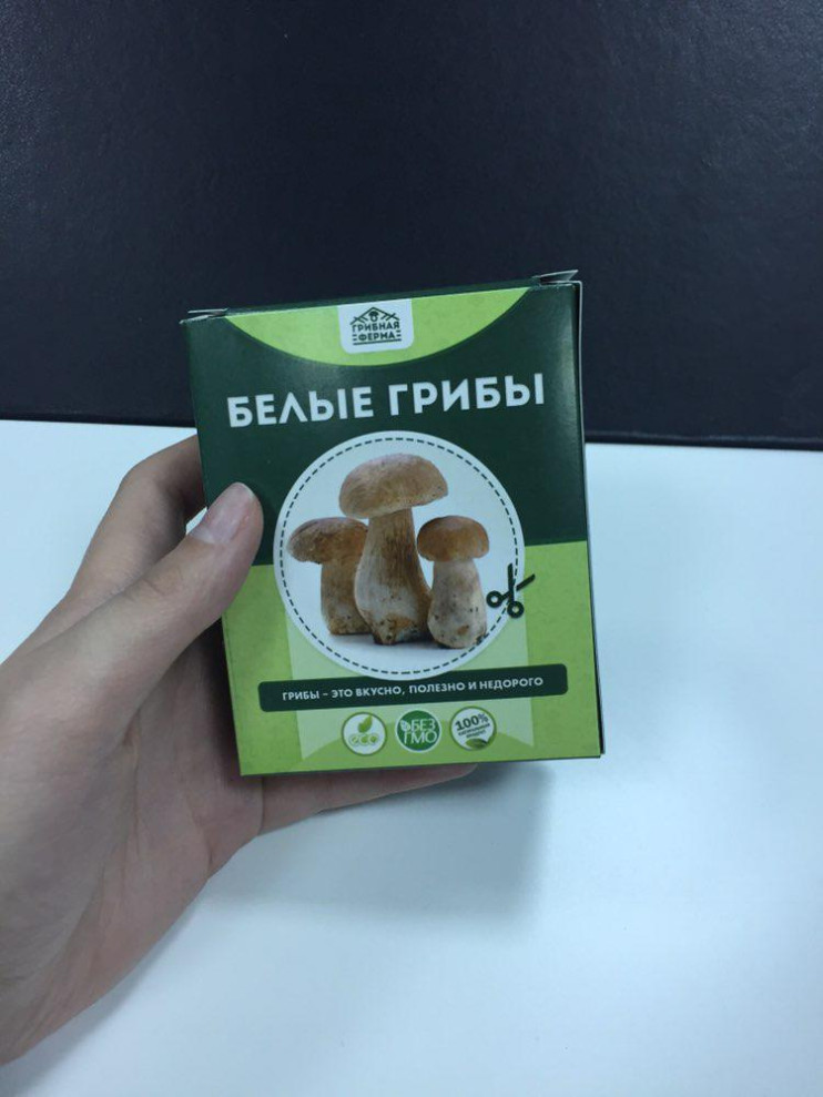 Грибная ферма в Москве