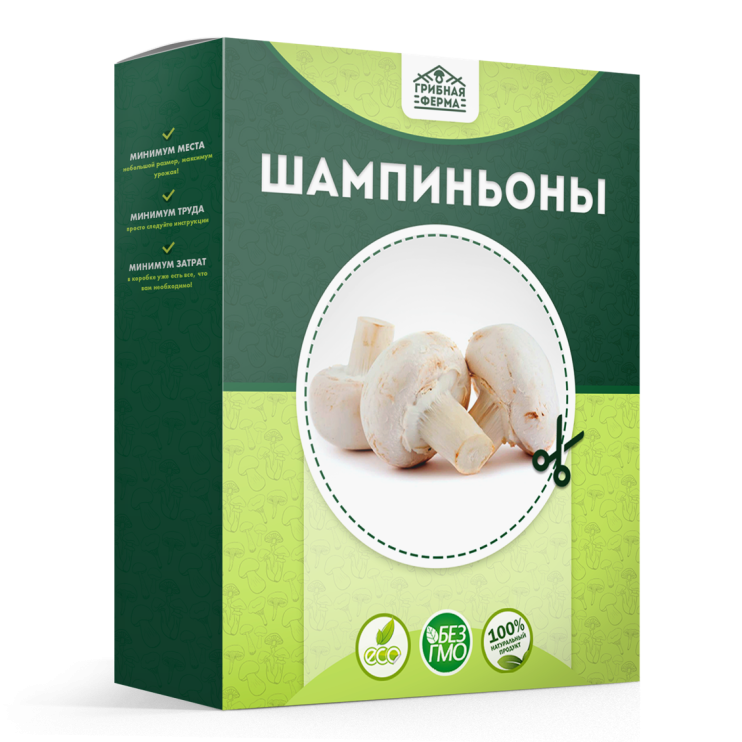 Грибная ферма в Москве