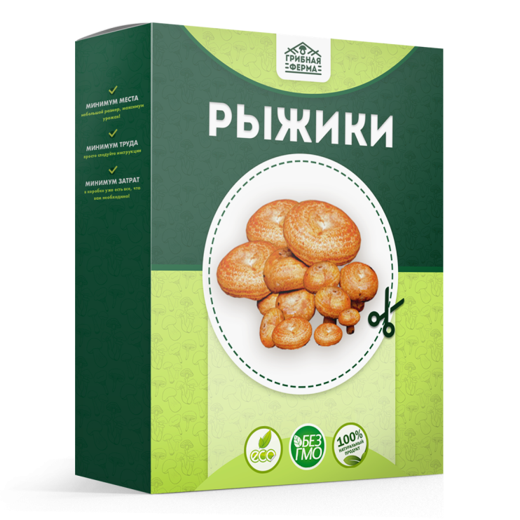 Грибная ферма в Москве