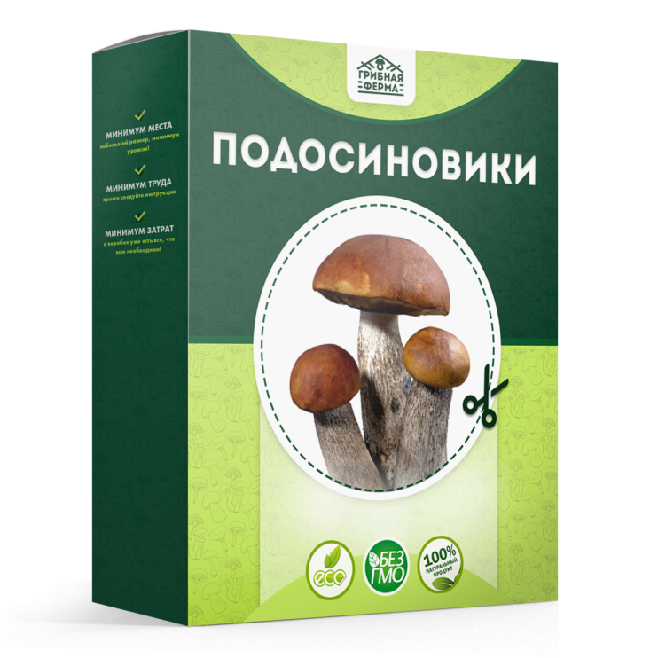 Грибная ферма в Москве