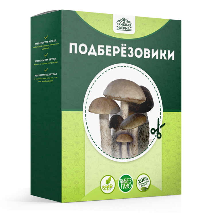 Грибная ферма в Москве