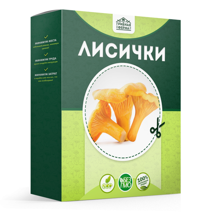 Грибная ферма в Москве