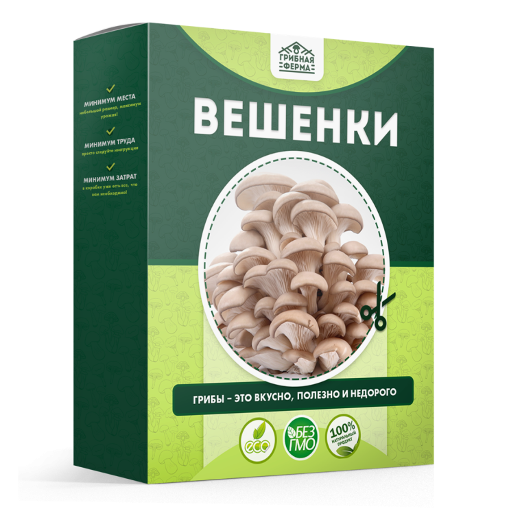 Грибная ферма в Москве