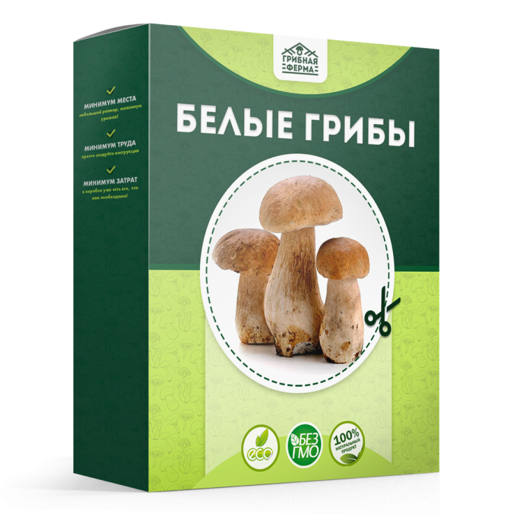 Грибная ферма в Москве