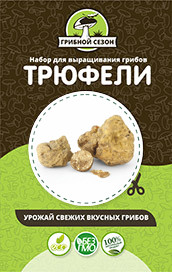 Грибная ферма в Москве