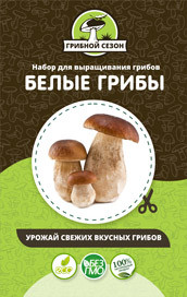 Грибная ферма в Москве