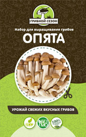 Грибная ферма в Москве