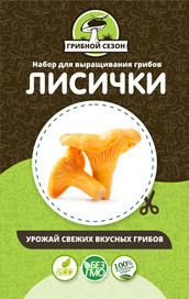 Грибная ферма в Москве