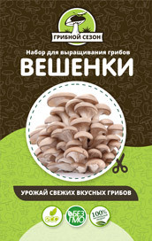 Грибная ферма в Москве
