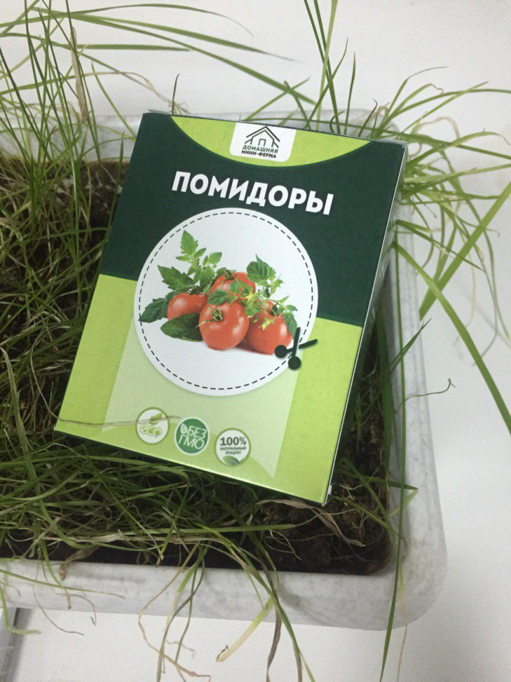 Домашняя мини-ферма "Огурцы" в Нижнем Новгороде