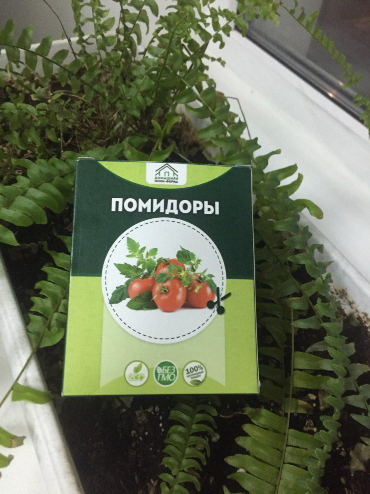 Домашняя мини-ферма "Огурцы" в Нижнем Новгороде