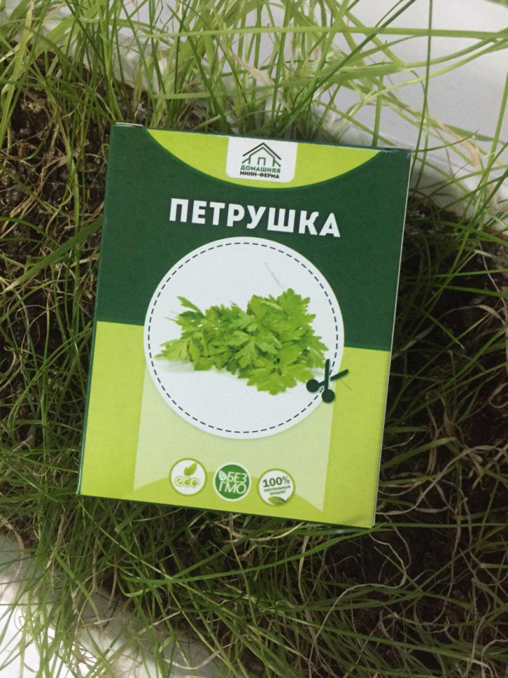 Домашняя мини-ферма "Огурцы" в Нижнем Новгороде