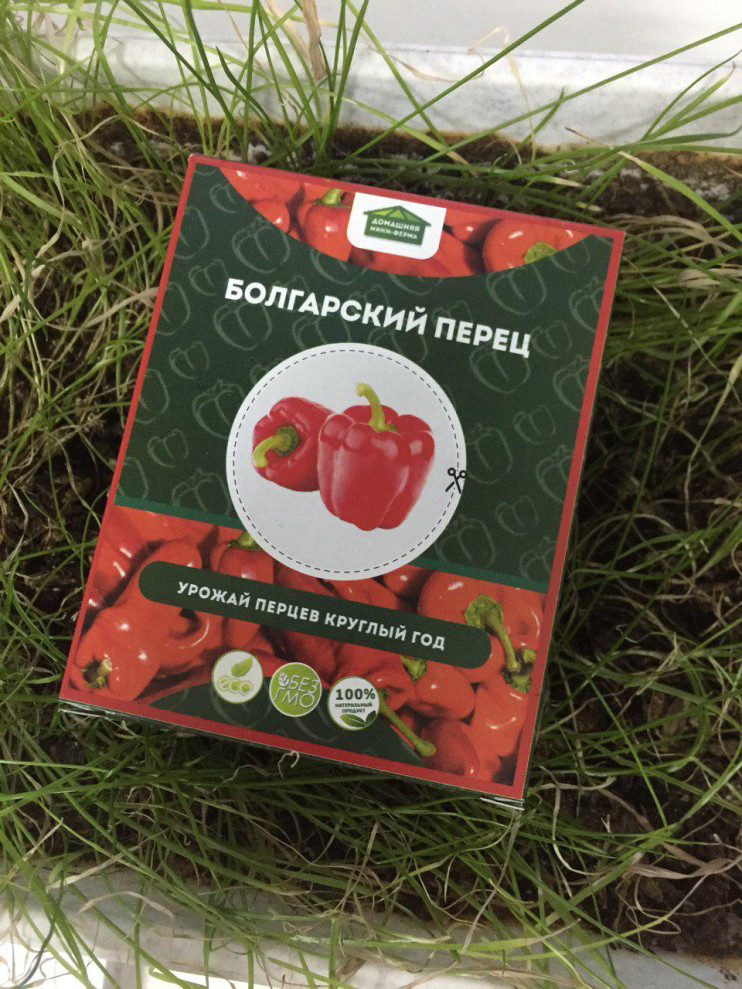 Домашняя мини-ферма "Огурцы" в Нижнем Новгороде