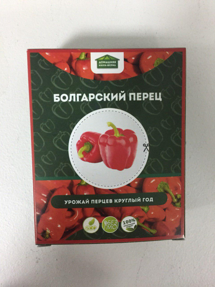 Домашняя мини-ферма "Огурцы" в Нижнем Новгороде
