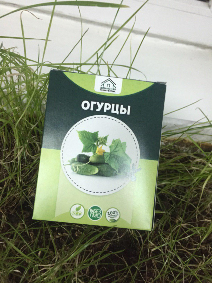 Домашняя мини-ферма "Огурцы" в Нижнем Новгороде