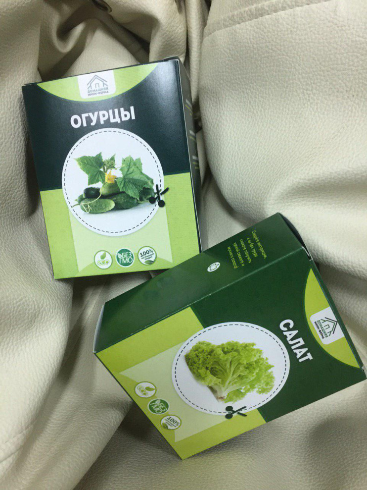 Домашняя мини-ферма "Огурцы" в Нижнем Новгороде